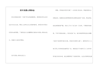 初中实践心得体会