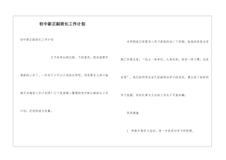 初中新正副班长工作计划