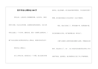 初中毕业心得体会300字