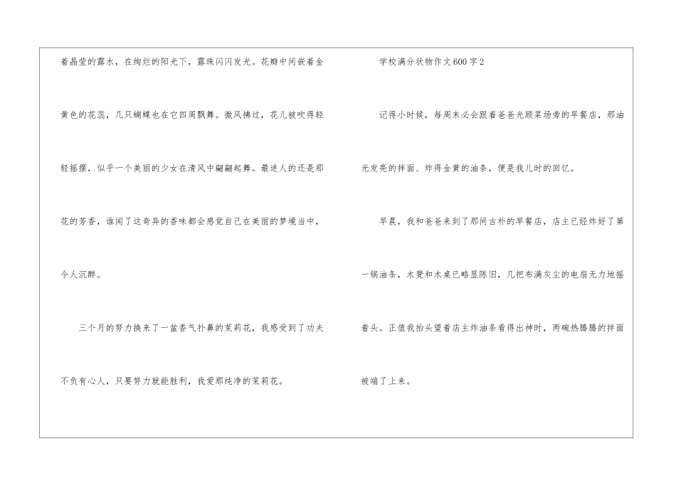 初中满分状物作文600字5篇_第3页