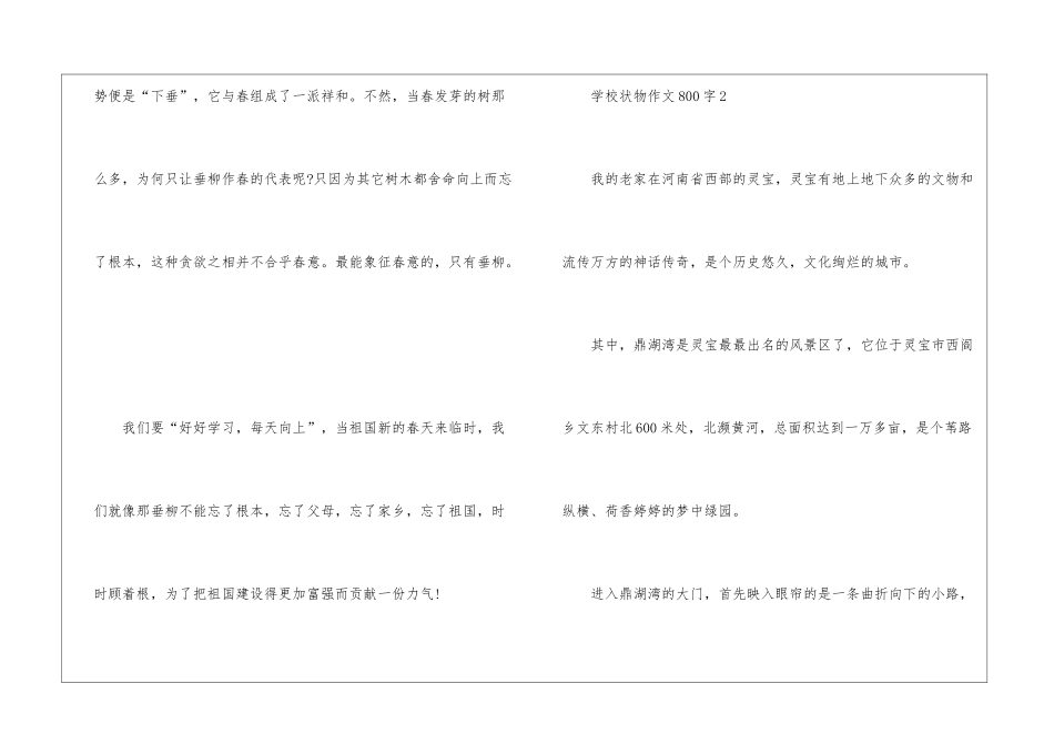初中状物作文800字5篇_第3页