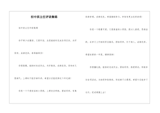 初中班主任评语集锦