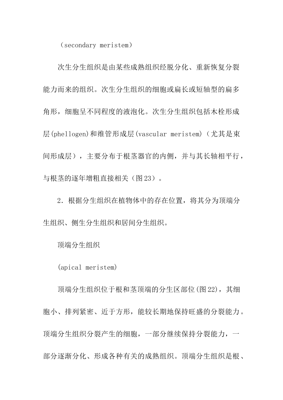 初中生物复习资料之分生组织_第2页