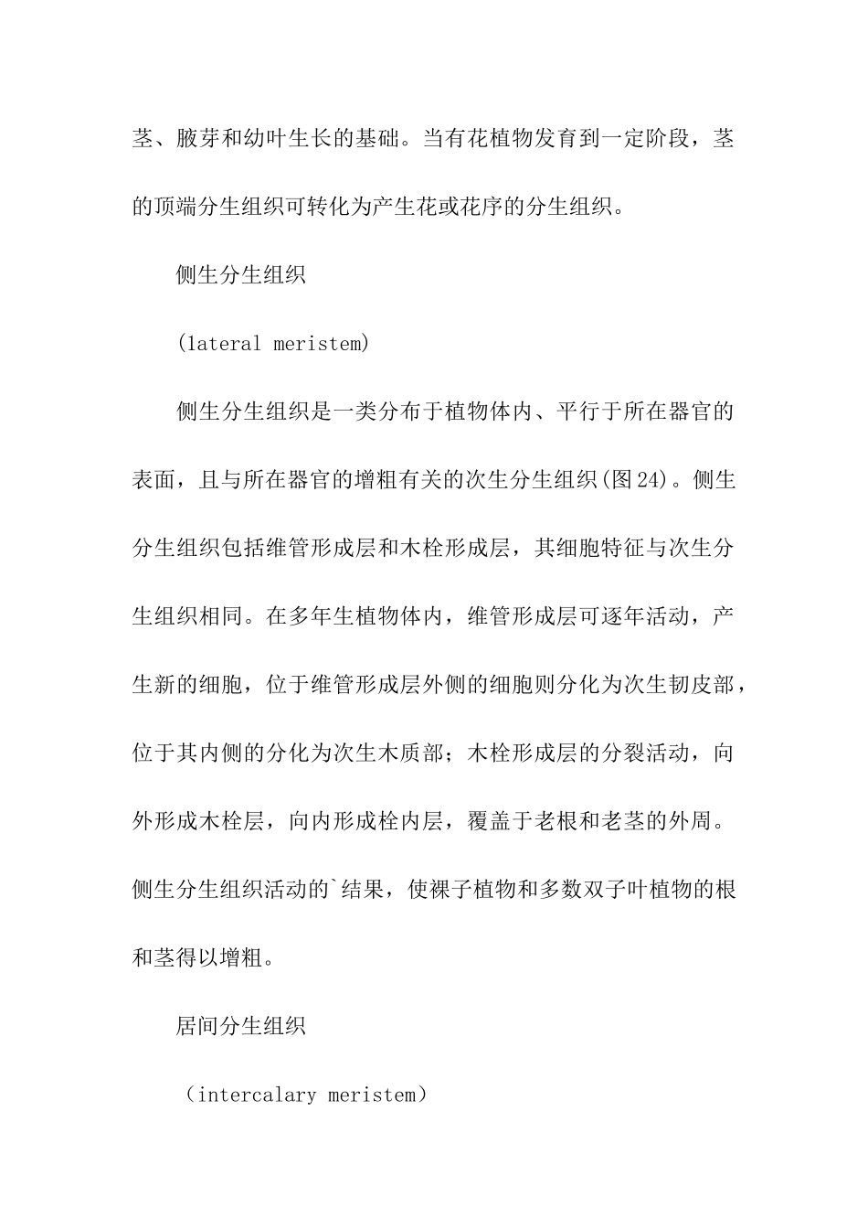 初中生物复习资料之分生组织_第3页