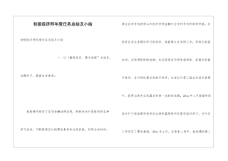 初级经济师年度任务总结及小结