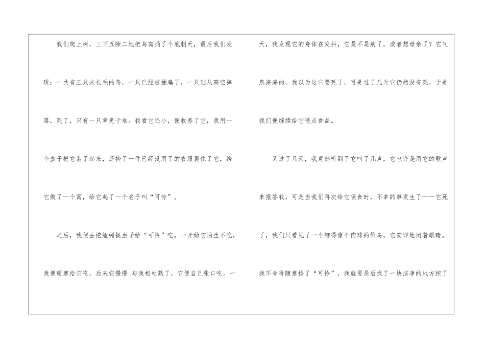 制作灯罩作文_第3页