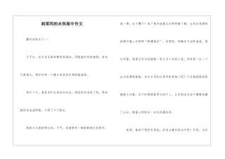 刹那间的永恒高中作文