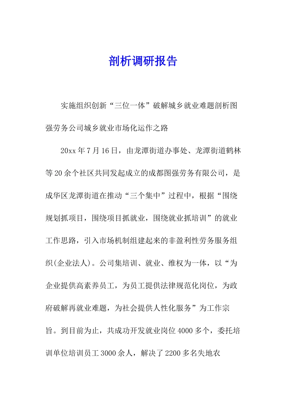 剖析调研报告_第1页