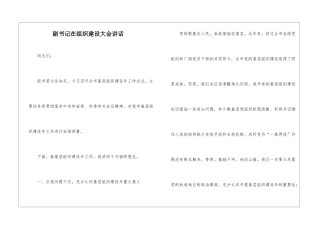 副书记在组织建设大会讲话