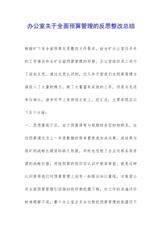 办公室关于全面预算管理的反思整改总结-
