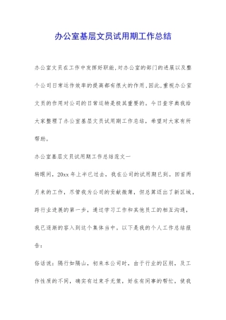 办公室基层文员试用期工作总结-
