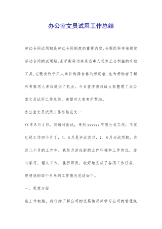 办公室文员试用工作总结-