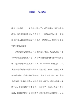 助理工作总结