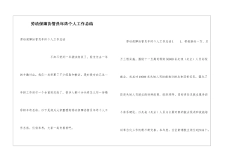 劳动保障协管员年终个人工作总结