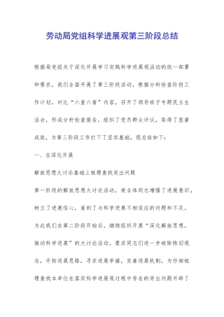 劳动局党组科学发展观第三阶段总结-