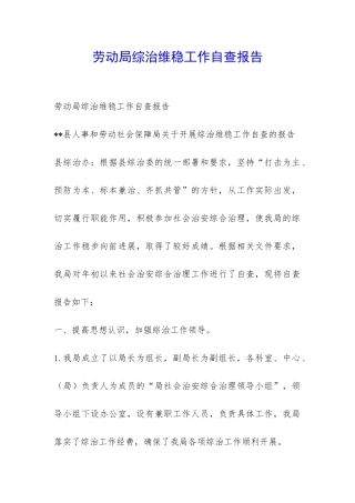 劳动局综治维稳工作自查报告-