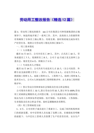 劳动用工整改报告