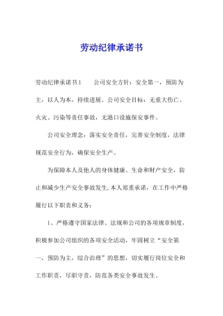 劳动纪律承诺书