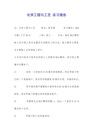 化学工程与工艺-实习报告-