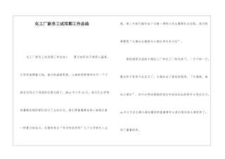 化工厂新员工试用期工作总结