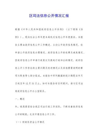 区司法信息公开情况汇报-