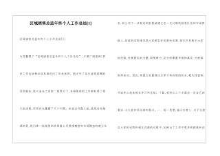 区域销售总监年终个人工作总结