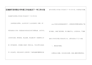 区旅游开发有限公司年度工作总结及下一年工作计划