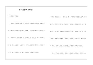十二月份实习总结