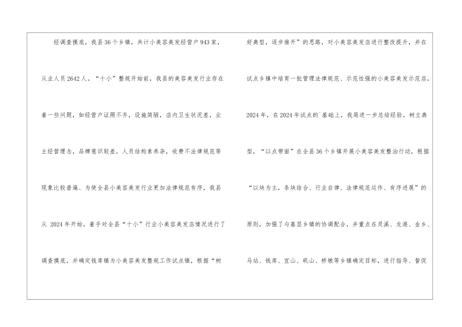十小行业之小美容美发整治与规范的工作总结_第2页