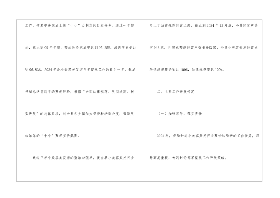十小行业之小美容美发整治与规范的工作总结_第3页