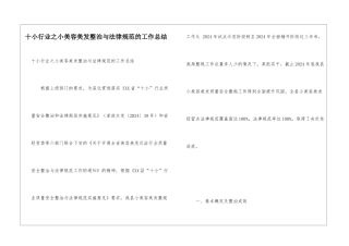 十小行业之小美容美发整治与规范的工作总结