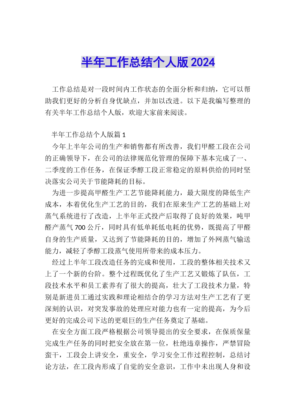 半年工作总结个人版2024_第1页