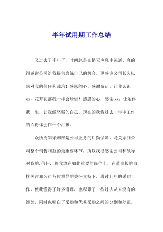 半年试用期工作总结