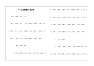 半年试用期的自我评价