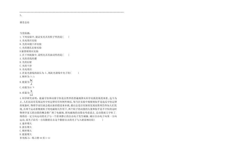 17.3光的波动性_第2页