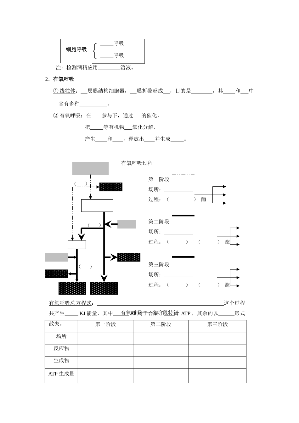 1.5知识归纳_第2页
