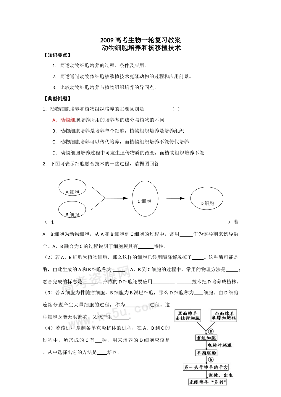 2009高考生物一轮复习教案动物细胞培养和核移植技术_第1页