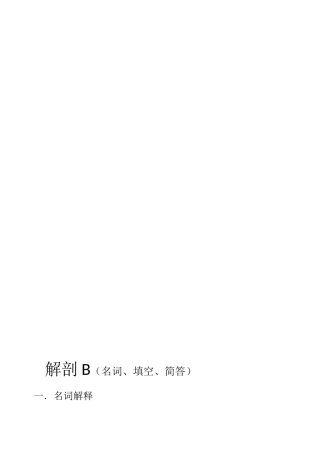 解剖B（名词、填空、简答）