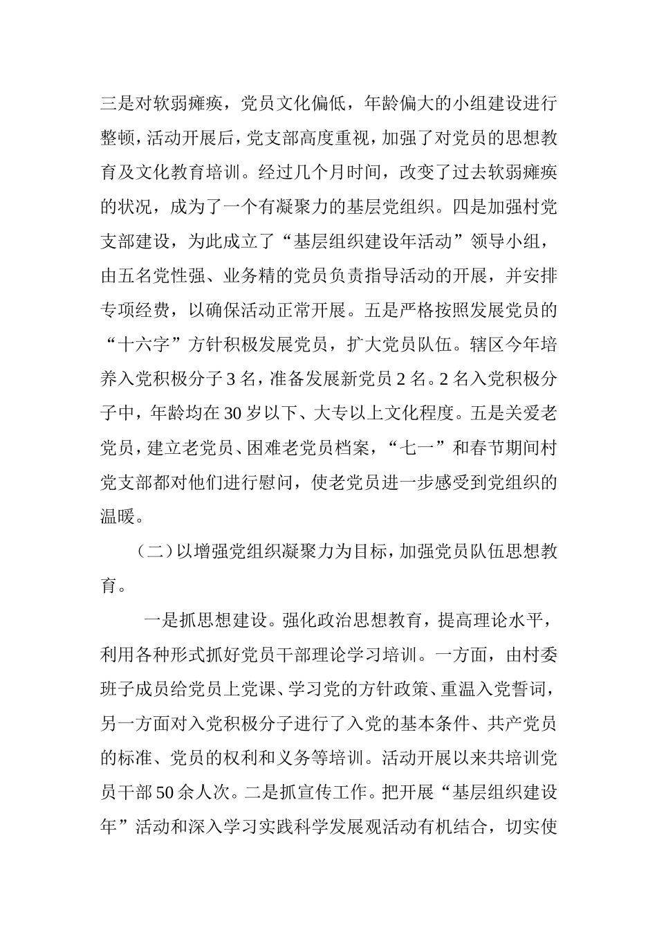 九塘村基层组织建设年活动总结_第2页