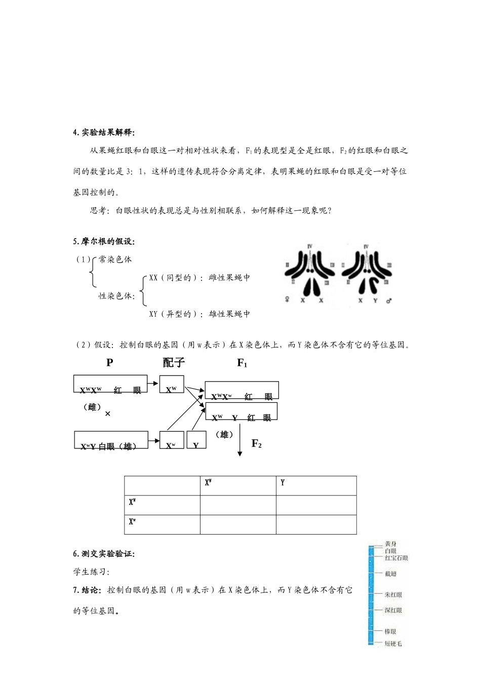 2009届高考生物二轮复习系列教案—基因表达_第3页