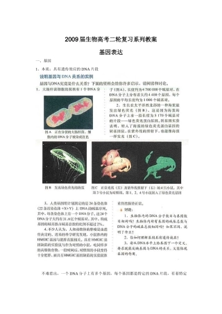 2009届高考生物二轮复习系列教案—基因表达