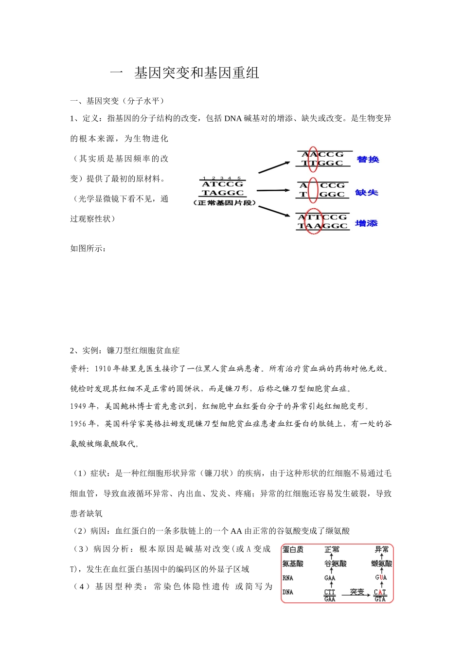 2009届高考生物二轮复习系列教案—生物的变异_第2页