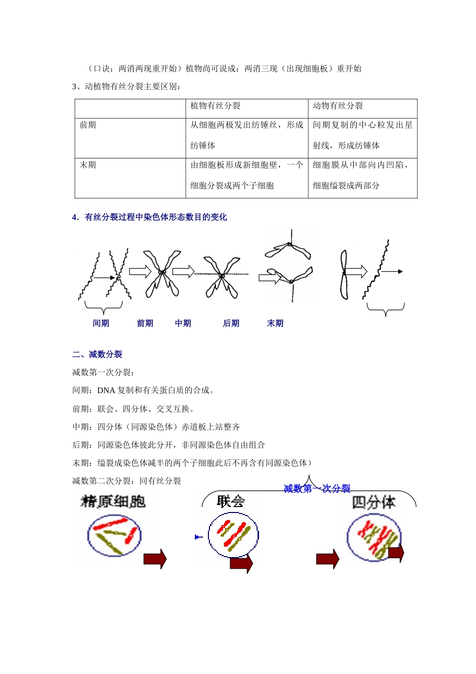 2009届高考生物二轮复习系列教案—有丝分裂与减数分裂_第2页