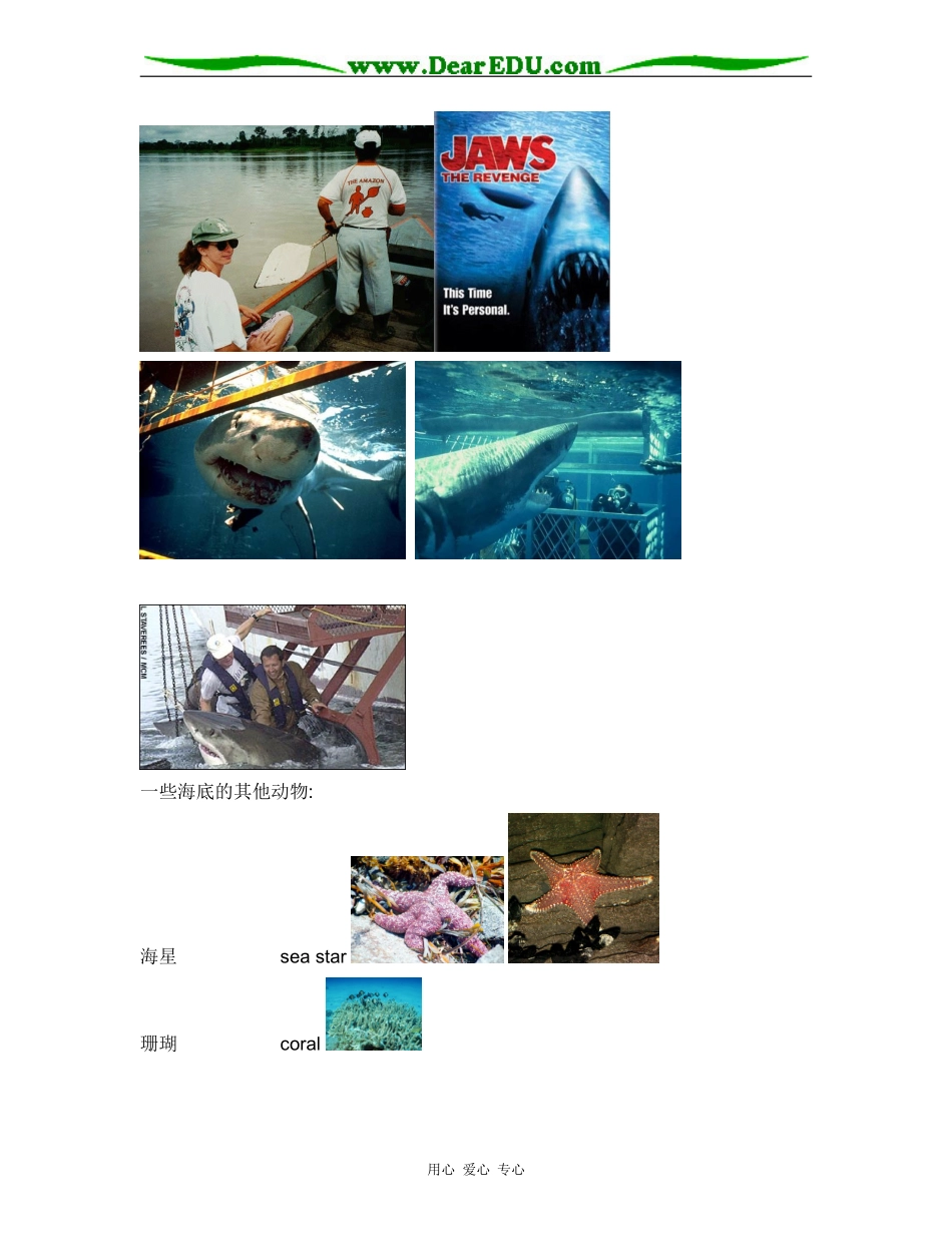 2008高三英语同步教案-Unit 3Under the sea 人教版选修7_第3页