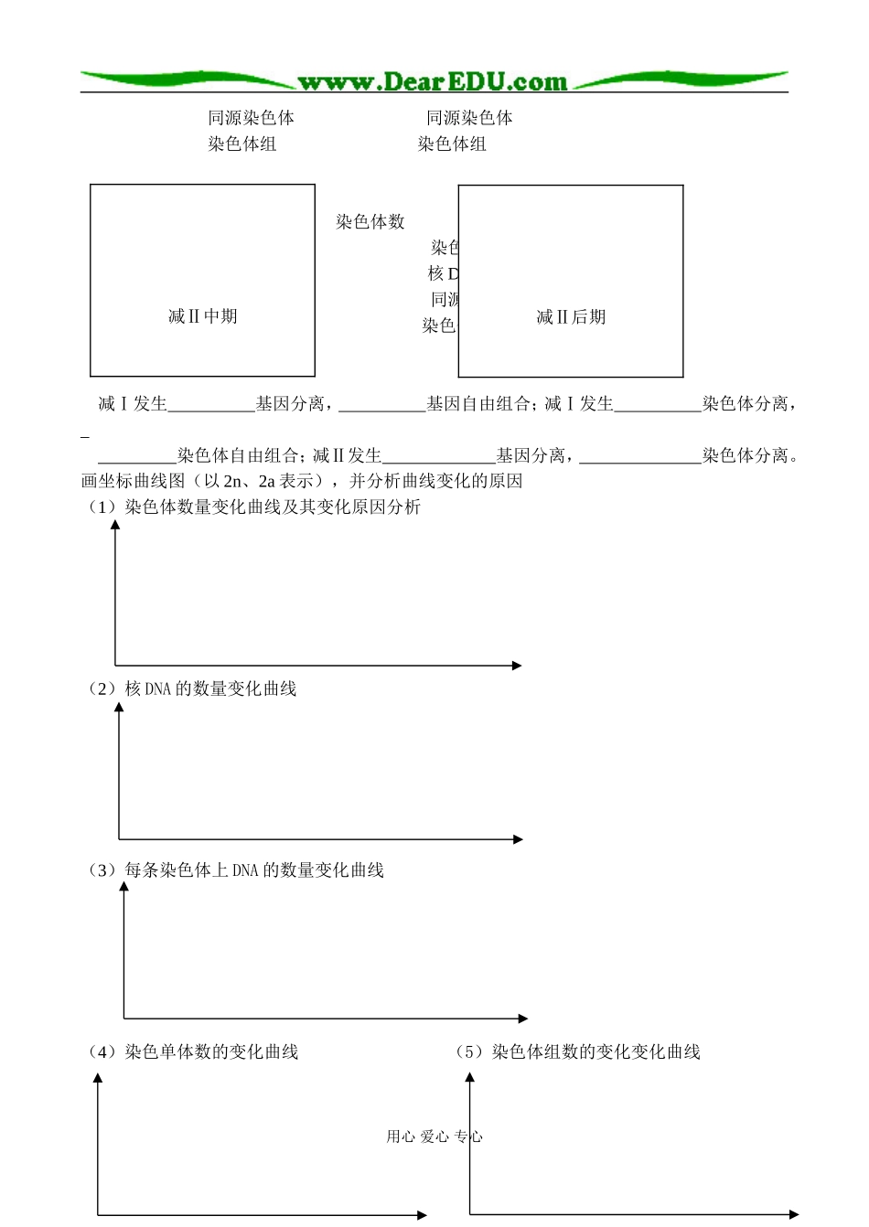 2009届高三生物一轮复习《减数分裂和受精作用》教学案_第3页
