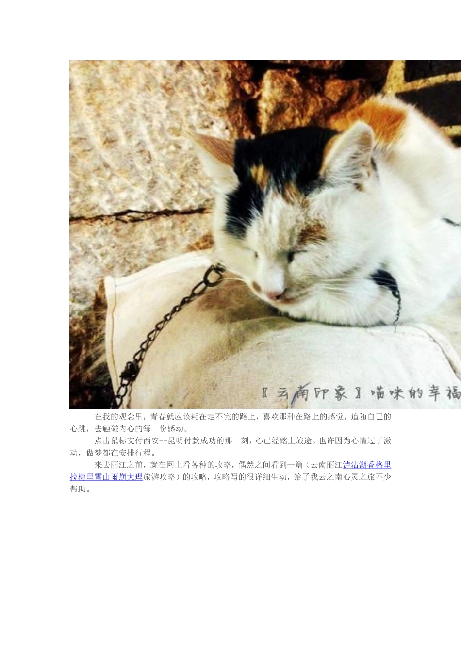 说说丽江这次旅行_第2页