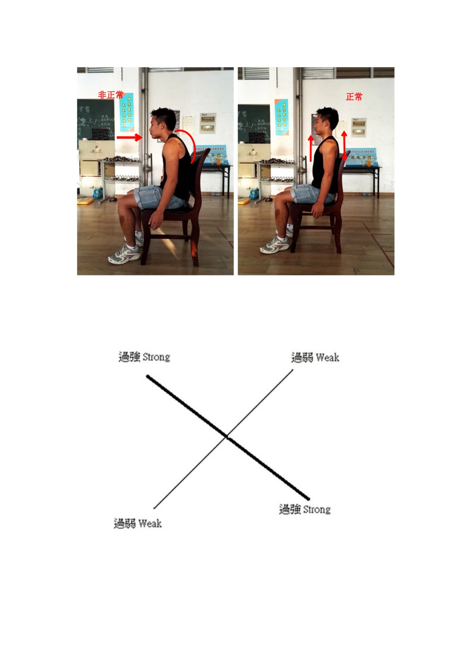 正确姿势对于骨骼肌肉的健康分析研究_第2页