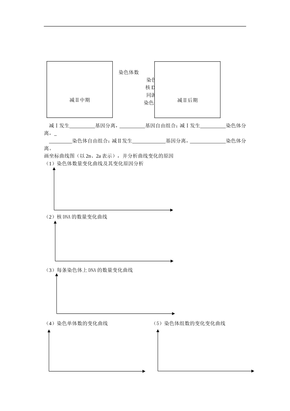 2009届高中生物一轮复习学案—减数分裂和受精作用必修二_第3页