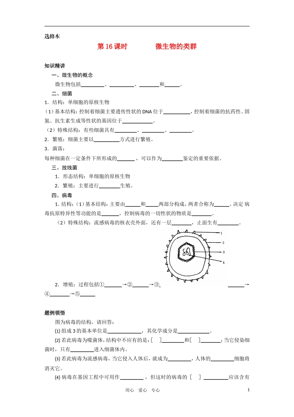 2010-2011学年高二生物 第五章 第一节 微生物的类群学案 新人教版选修_第1页