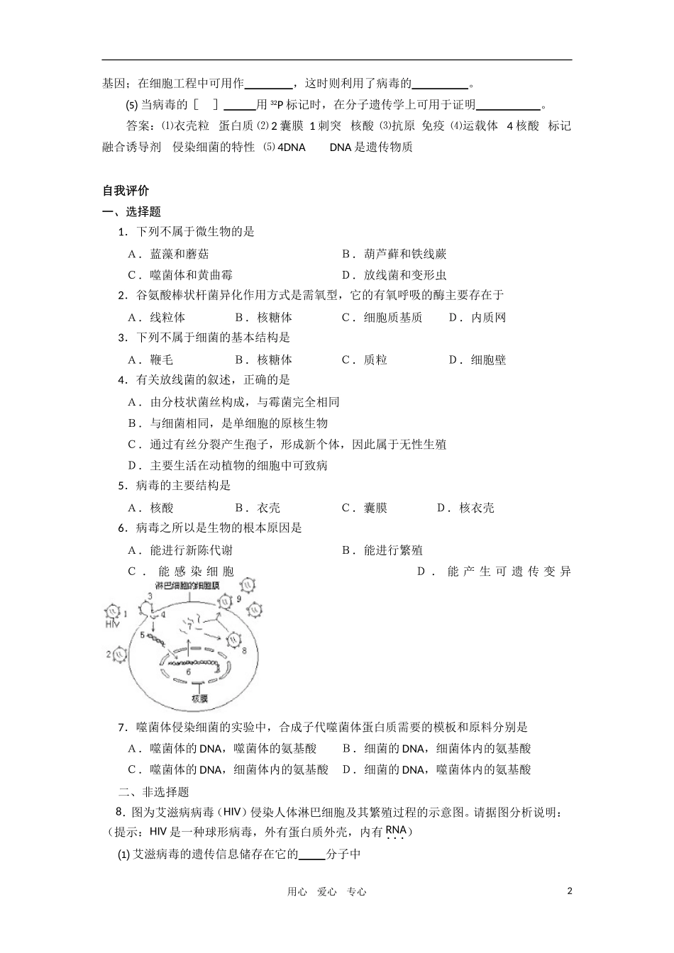 2010-2011学年高二生物 第五章 第一节 微生物的类群学案 新人教版选修_第2页